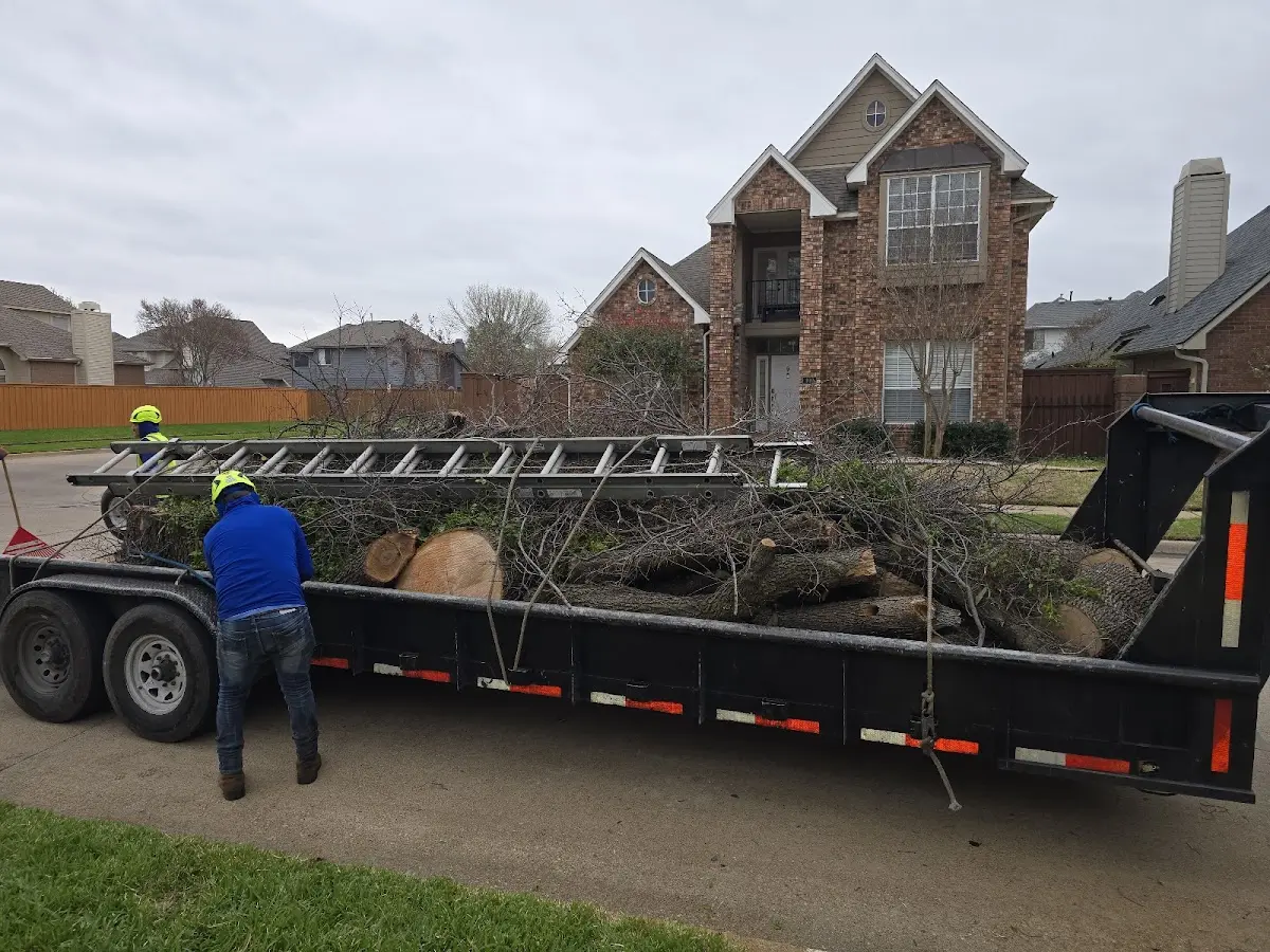 Expert Lot Clearing with proper safety equipment in Avondale